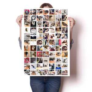 20x30 Poster with 77 photos